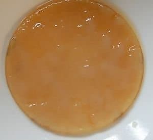 Kombucha SCOBY Bio - Tailles variées (10 cm)