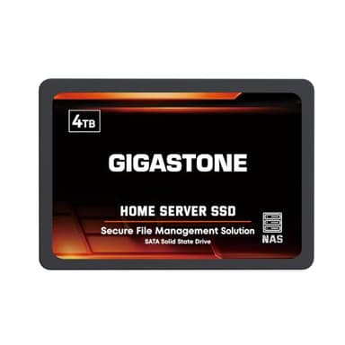 Gigastone Serveur SSD 4To NAS SSD Cache 24h/24, 7j/7 Haute Endurance Business Secure Personal Cloud Creative Professional Network Attached Storage Raid 2,5" SATA Disques durs internes SSD