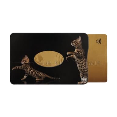 Color Pop Porte-Carte Rigide (1) Anti-RFID – Fabrication Française – PVC – Anti-RFID - Protection Cartes bancaires - 6 x 9,1 cm (Blindé Bengal)
