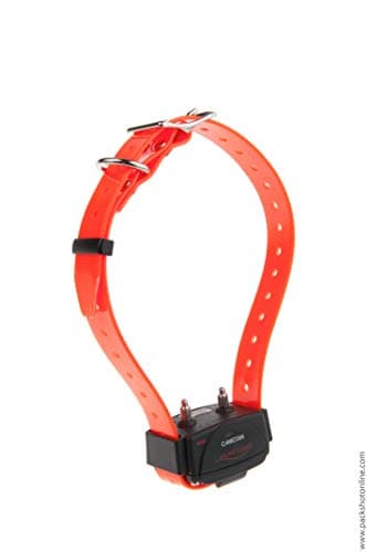 Collier Seul/SUPPLEMENTAIRE CANICOM avec Sangle Orange Fluo - Dressage pour Chien