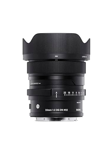 Sigma Objectif 24mm F2 DG DN pour Sony