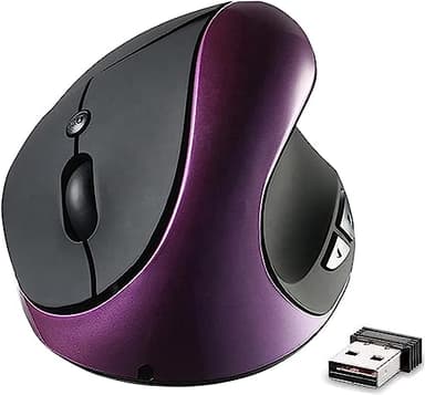 BeWishes Souris Verticale sans Fil, 2.4GHz Rechargeable Souris Ergonomique, Souris Verticale pour Les Droitiers avec De Petites Mains, DPI Réglable, réduit la Fatigue du Poignet