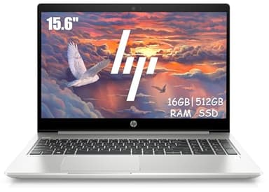 HP ProBook 450 G6 Ordinateur portable professionnel 15,6" (1366 x 768), Intel Core i5-8265U, 16 Go de RAM, SSD 512 Go, clavier QWERTY japonais, Windows 11 Pro (reconditionné)