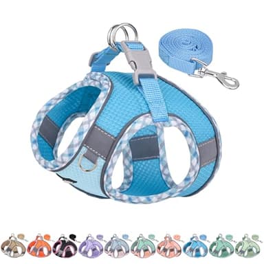 AIITLE Harnais pour Chien Anti-évasion, Gilet Anti-Traction avec Laisse, Maille Respirante, Bandes réfléchissantes, Harnais d'extérieur réglable pour Chiens de Taille Moyenne Bleu M