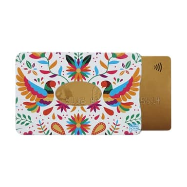 Color Pop Porte-Carte Rigide Anti-RFID, Protection Bancaire, PVC, 9,1 x 6 x 0,5 cm, Fabriqué en France (PAJAROBLANCO)
