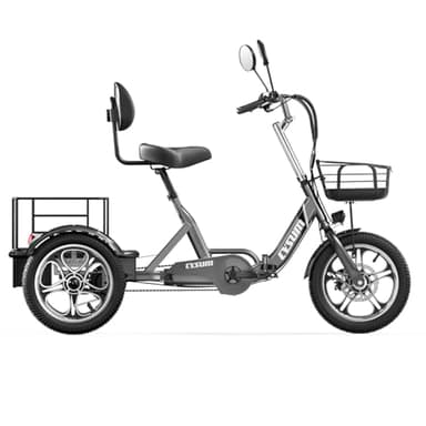 cysum T1 Pro 3 Roues Vélo Électrique Pour Adultes, 16 Pouces Pliant Tricycle Électrique, Batterie Au Lithium 48 V 22 Ah, Moteur 250 W, Charge Ebike Homme Femme