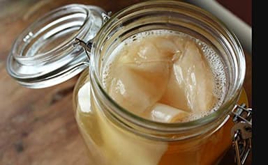 1 X Scoby de Kombucha Bio - Culture vivante par Scoby Kombucha, Édition Limitée