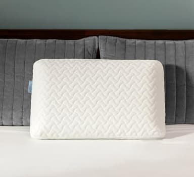 Ecosafeter Oreiller Memoire Forme Haute densité - Coussin Ergonomique Soutien Cervical Mi-Ferme - Housse Lavable Bambou - Adaptatif Thermorégulé