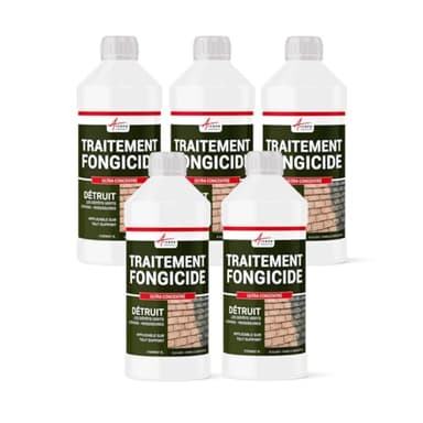Anti-mousse ultra concentré : fongicide, anti dépôt vert toiture, mur, façade, terrasse, élimine, algues et lichens, 5 L (5 x 1L) - ARCANE INDUSTRIES