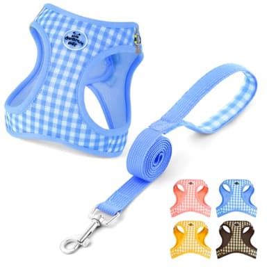 OFFCUP Ensemble Harnais pour Chiens, Harnais Chien Anti-Traction AVCE Laisse, Gilet Réglable en Maille Respirante Harnai pour Chots et Chats, Harnai pour Petit Moyen et Grand Chiens, Bleu (L)