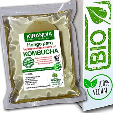 BÉBÉ KOMBUCHA FRAIS, SCOBY KOMBUCHA - Avec Inscription Sanitaire (RGSEAA) - Préparez Votre Propre Thé Biologique Kombucha à la Maison