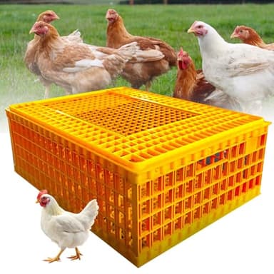 Cage de transport en plastique pour poulets, canards, oies et oiseaux adultes, design respirant, idéal pour 8 à 11 poules