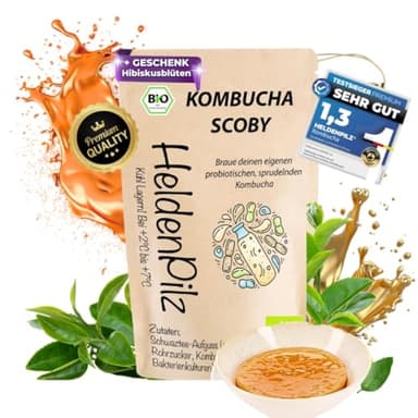 HeldenPilz® Champignon à thé bio Kombucha - Scoby vital et puissant avec liquide de racine | Pour 6 l de kombucha | Garantie de succès | 100 % naturel, durable
