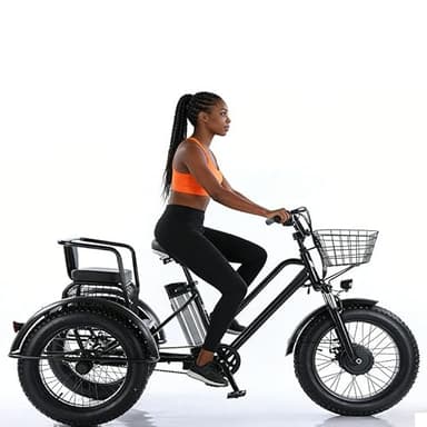 Lakenbroade Tricycle électrique pour Adultes, Moteur 500 W (Puissance maximale de 1350 W), Pliable, 51 x 10 cm, pneus Larges, Batterie 48 V 12 Ah, 3 Roues 1battery