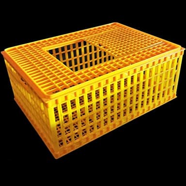RITE FARM PRODUCTS H.D. Cage de transport de volaille 4H Show Cage de transport 29 x 21 x 12 cm