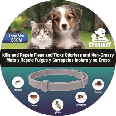 Tempotech ® Collier antiparasitaire Chien et Chat - 8 Mois de Protection - Contre Les puces, tiques, moustiques, acariens et poux - Collier Vermifuge (38 cm 1 Unité)